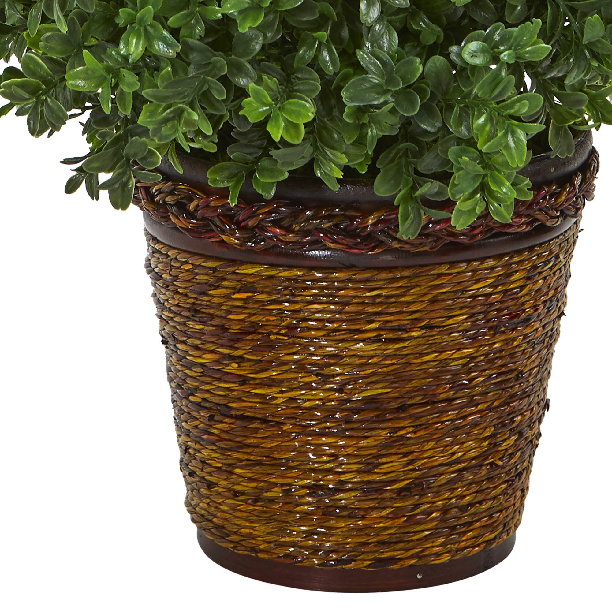 23" Sweet Grass in Basket